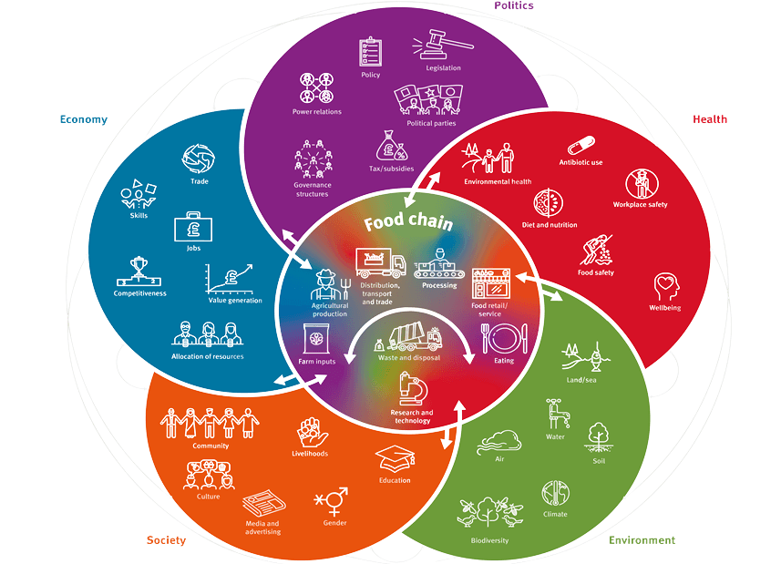 Food system flower diagram